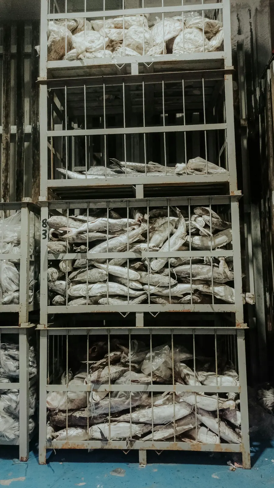 Racks of frozen product in a cold store